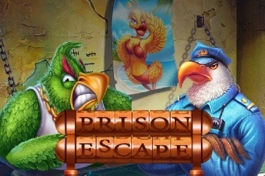 Prison Escape